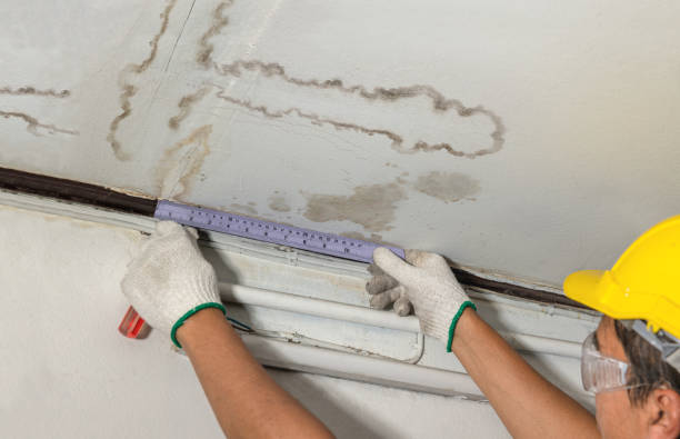 Reliable Mold Remediation contractor in Long Beach, MD by Water Damage Irwin